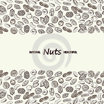 Nuts vector. Hand drawn vintage illustration. Vector Illustration