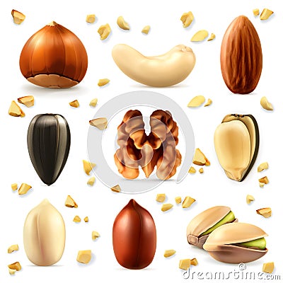 Nuts vector icons Vector Illustration