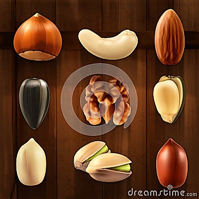 Nuts vector icons Vector Illustration