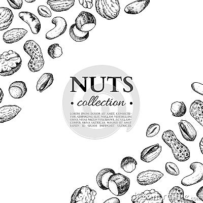 Nuts vector vintage frame illustration. Hand drawn engraved food objects. Vector Illustration