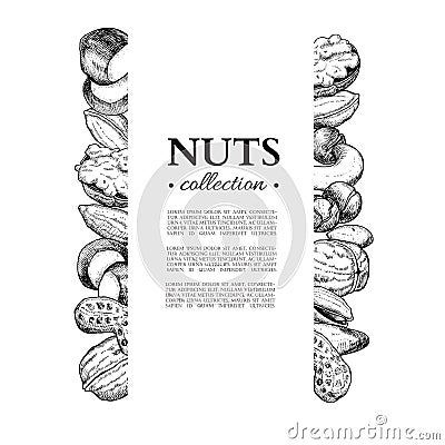 Nuts vector vintage frame illustration. Hand drawn engraved food objects. Vector Illustration