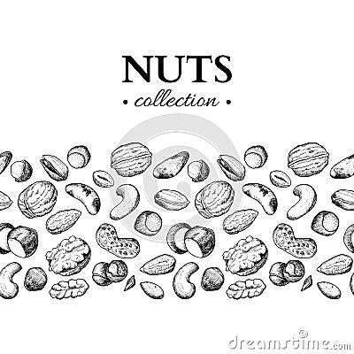 Nuts vector vintage illustration. Hand drawn engraved food objects. Vector Illustration