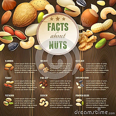 Nuts On Wooden Background Vector Illustration