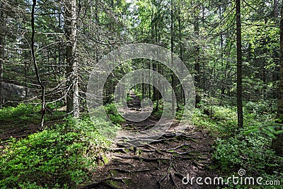 Nuuksio National Park Stock Photo