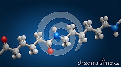 Nylon 3D structure, repeating of amide links Vector Illustration