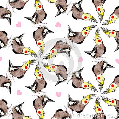 nymphs or Carolinas- Nymphicus hollandicus drawing in watercolor pattern of nymphs exotic bird and hearts Stock Photo