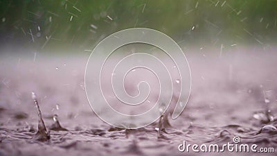 Närbild stora tunga droppar av regn, nederbörd, dusch, nedgång med en sprej, vattenfärgstänk, på den våta yttersidan av pölar lager videofilmer Närbild stora tunga droppar av regn, nederbörd, dusch, nedgång med en sprej, vattenfärgstänk, på den våta yttersidan av pölar lager videofilmer