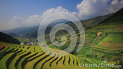 O arroz coloca em terraced de MU Cang Chai, YenBai, Vietname video estoque O arroz coloca em terraced de MU Cang Chai, YenBai, Vietname video estoque
