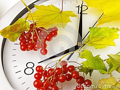 8 o`clock. Clock face, yellow leaves and viburnum Stock Photo