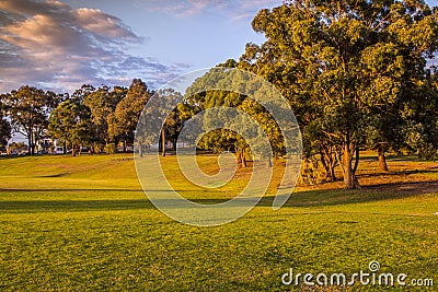 O'Neill Park Auburn Sydney Stock Photo