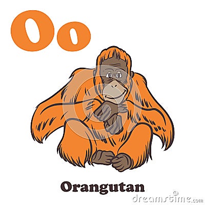 O for Orangutan Vector Illustration