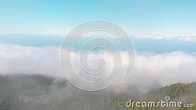O zangão voa através das nuvens acima dos lotes verdes grossos de uma floresta das nuvens sobre o vale Console de Tenerife, Spain video estoque O zangão voa através das nuvens acima dos lotes verdes grossos de uma floresta das nuvens sobre o vale Console de Tenerife, Spain video estoque