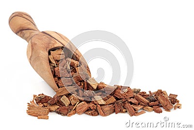 Oak Bark Herb Stock Photo