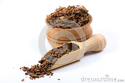 Oak Bark Herb Stock Photo