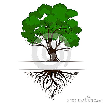 Oak a green life tree with roots and leaves. Vector illustration icon isolated on white background Vector Illustration