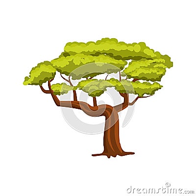 Oak green tree vector icon Vector Illustration