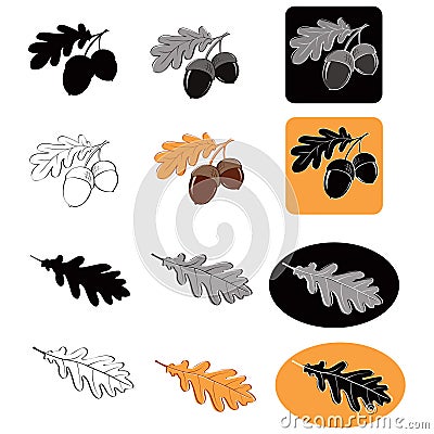 Oak leaf and acorns Vector Illustration