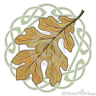 Oak leaf in autumn coloring and Celtic magic ornament Vector Illustration