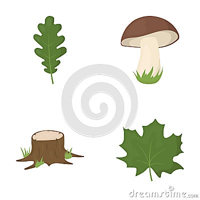 Oak leaf, mushroom, stump, maple leaf.Forest set collection icons in cartoon style vector symbol stock illustration web. Vector Illustration