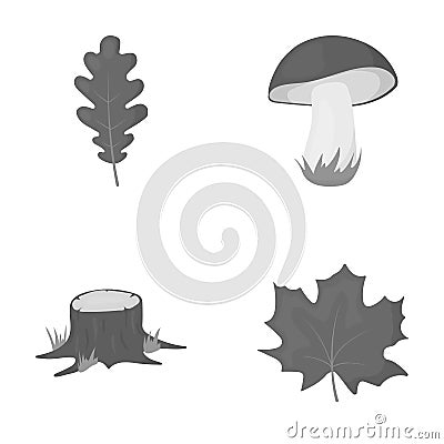 Oak leaf, mushroom, stump, maple leaf.Forest set collection icons in monochrome style vector symbol stock illustration Vector Illustration