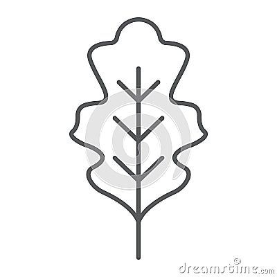 Oak leaf thin line icon, nature and botany, foliage sign, vector graphics, a linear pattern on a white background. Vector Illustration