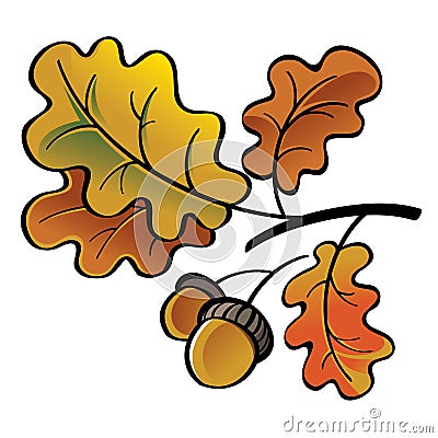 Oak leaves and acorns Vector Illustration