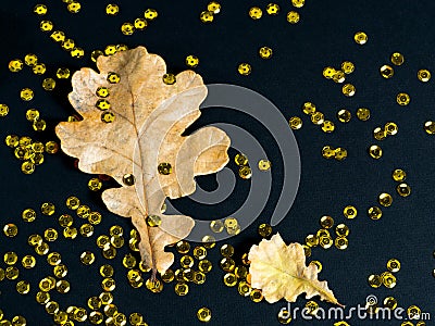 Oak leaves and golden paillette glitter on black background Stock Photo