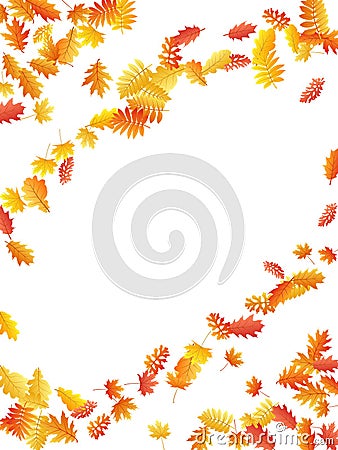 Oak, maple, wild ash rowan leaves vector, autumn foliage on white background Vector Illustration