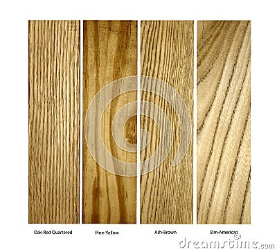 Oak, Pine,Ash.Elm real wood samples, isolated Stock Photo