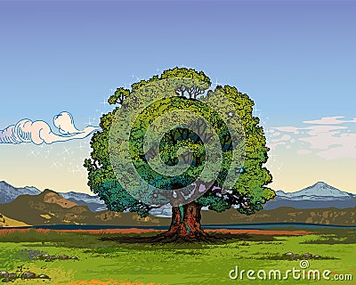 Oak tree Vector Illustration