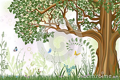 Oak tree Vector Illustration