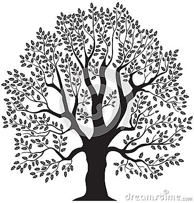 Oak tree Vector Illustration