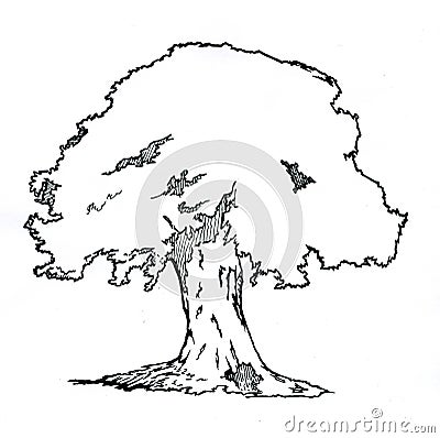 Oak Tree Cartoon Illustration