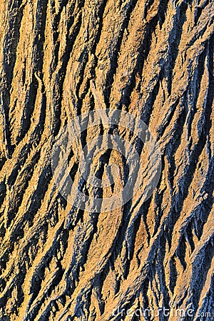 Oak tree bark abstract background warm texture colours and shadows Cartoon Illustration