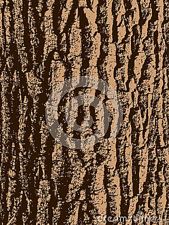 Oak tree bark Stock Photo