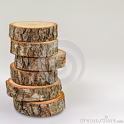 Oak tree cross sections, isolated. Copy space for text. Tree trunks close-up. Stock Photo