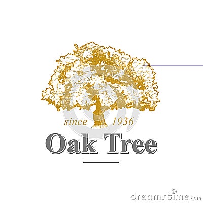 Oak Tree Logo Vector Illustration