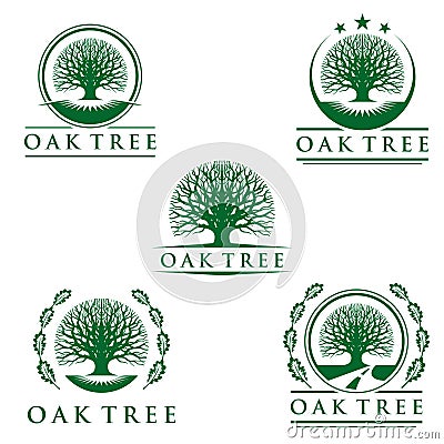 Oak Tree logo, logo design Vector Illustration