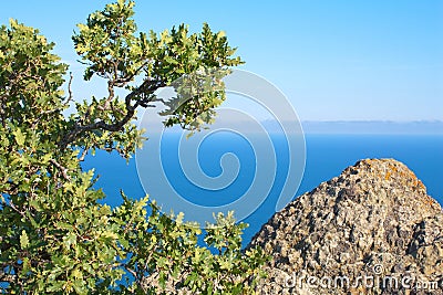 Oak Tree and rocks Karadag mountain, National park Stock Photo