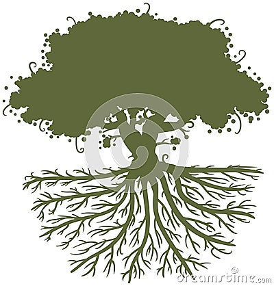 Oak Tree Roots Vector Illustration