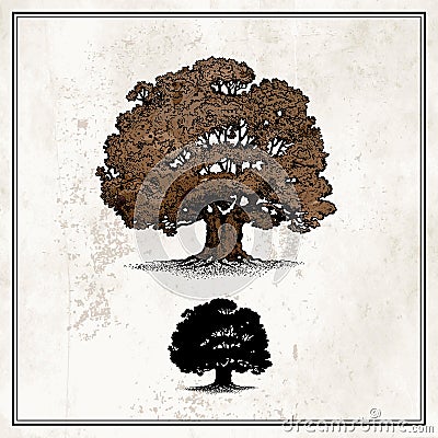 Oak tree Vector Illustration