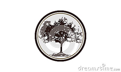 Oak Tree Template Vector Illustration