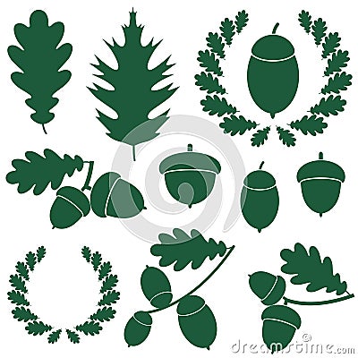 Oak Vector Illustration