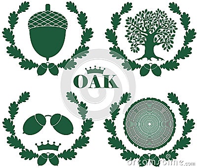 Oak Vector Illustration