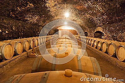 Oak Wine Barrels Editorial Stock Photo