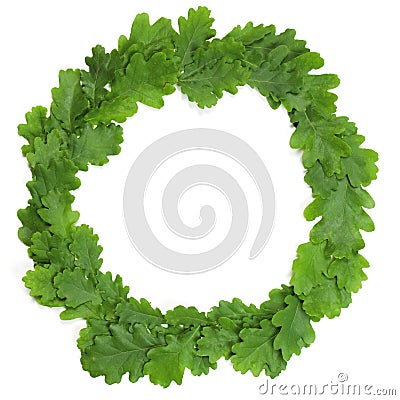Oak wreath Stock Photo