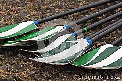 Oars on a quayside Stock Photo