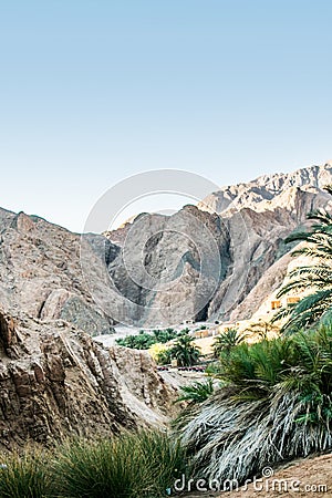 Oasis in Dahab Sinai Egypt Stock Photo