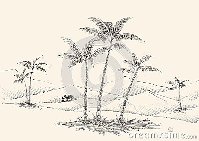 Oasis in the desert hand drawing Vector Illustration