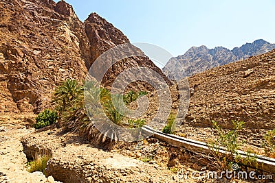 Oasis in Dubai Stock Photo